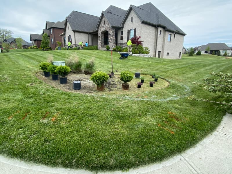 Installing a new island bed with shrubs