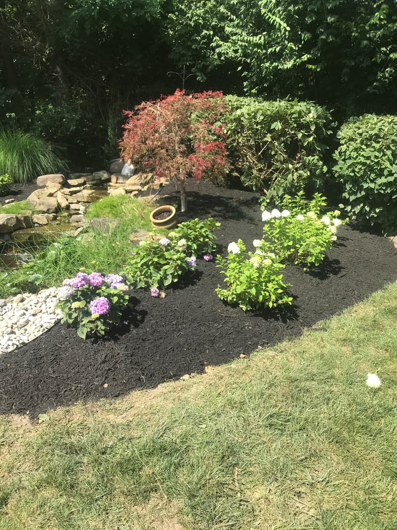 Layered bed with flowering plants and dark mulch